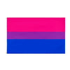 Grand drapeau Bisexuel