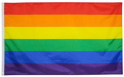 Drapeau gay, lesbien, trans, aro… Couleurs et signification