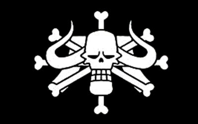 Drapeau One Piece : Acheter un drapeau pirate – Drapeaux du Monde