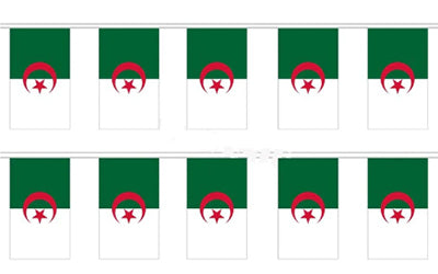 guirlande drapeau Algérie