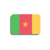 Broche drapeau Cameroun