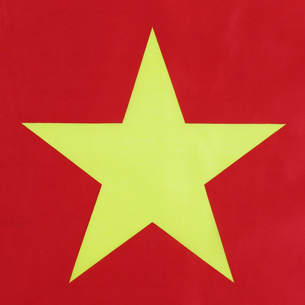 Grand drapeau Cameroun