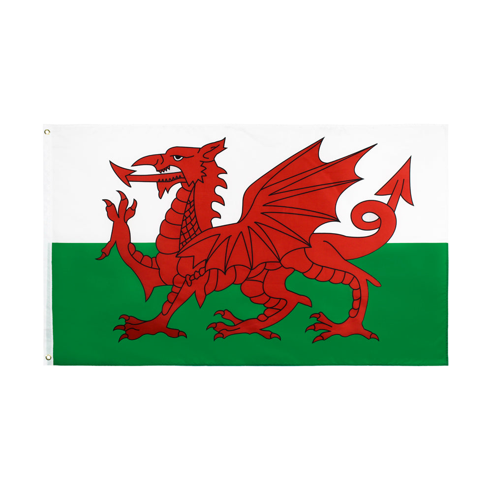 Drapeau Pays de Galles 90 x 150 cm