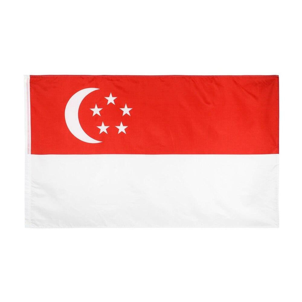 Drapeau Singapour fourreau