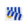 Grand drapeau Uruguay