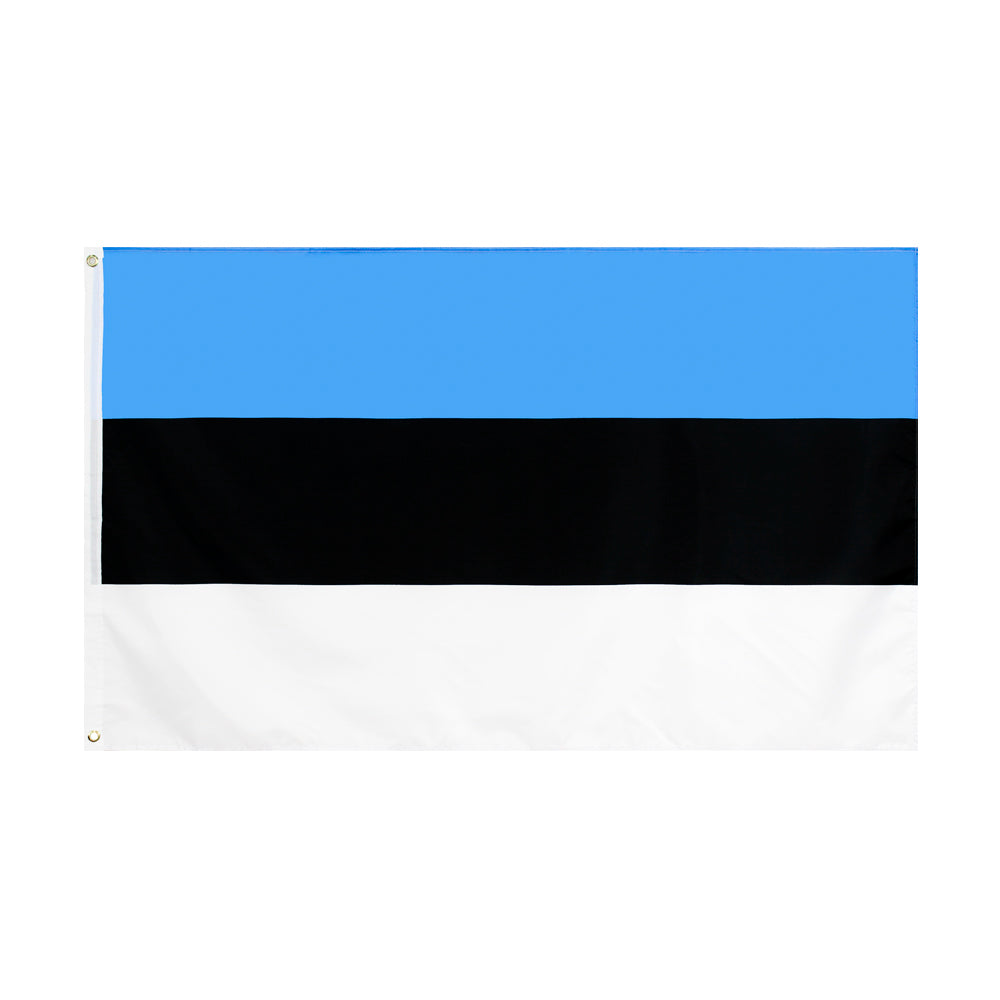 Grand drapeau Estonie