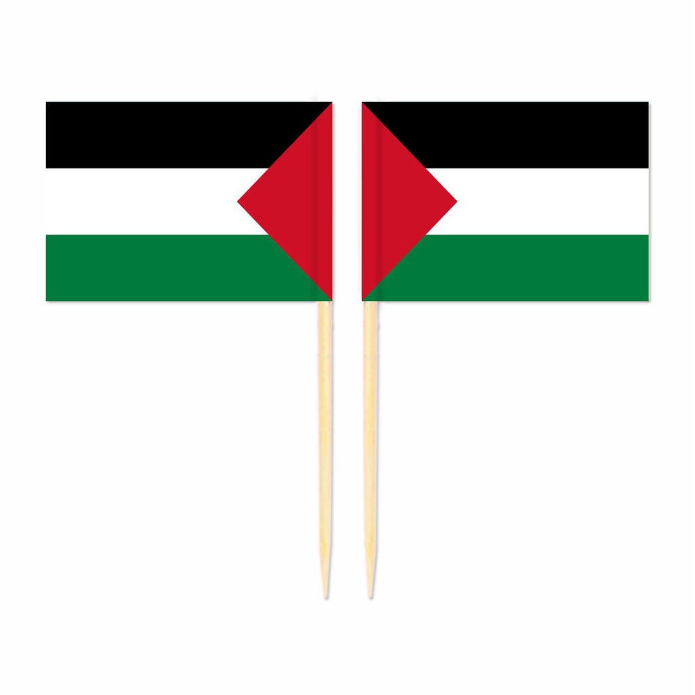 Mini pics drapeau Palestine